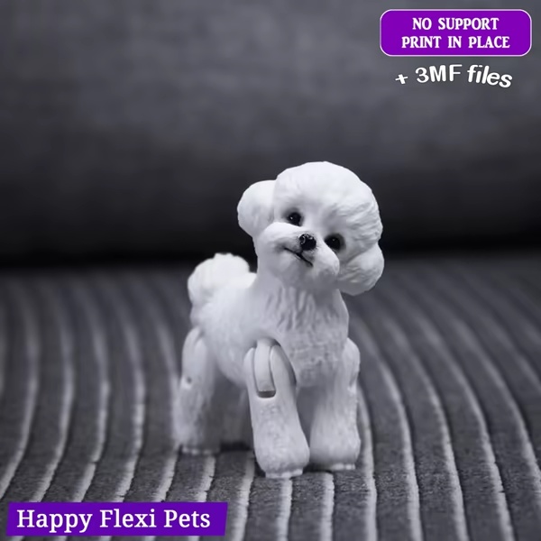 Toy Poodle