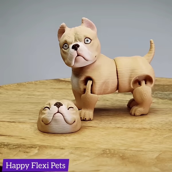 American Bully