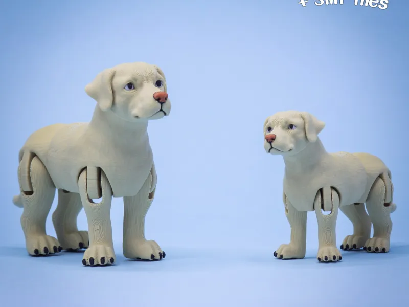 Labrador