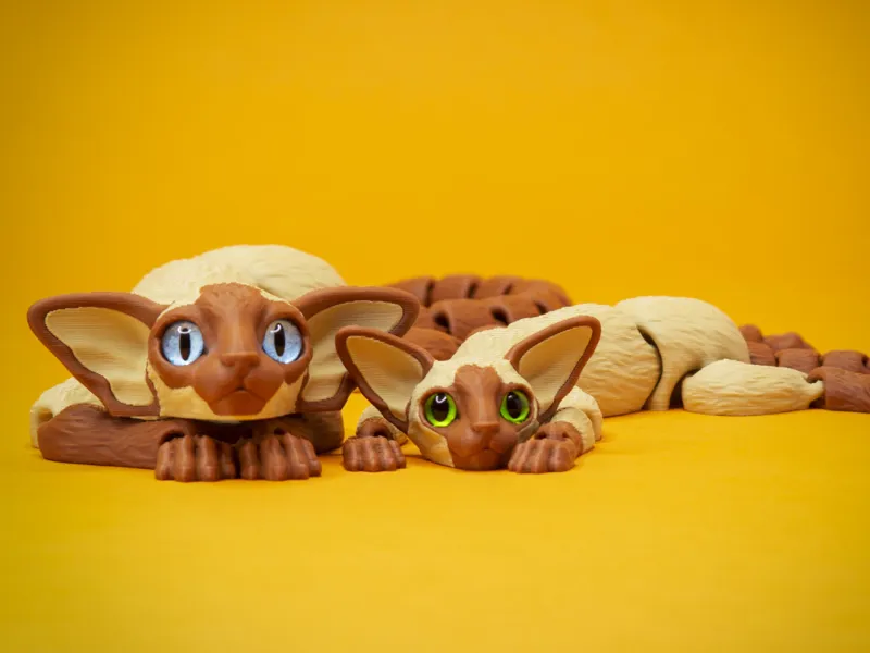 Oriental Shorthair